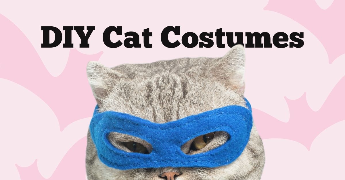 The Ultimate List of DIY Cat Costumes for Halloween Char and Whiskers