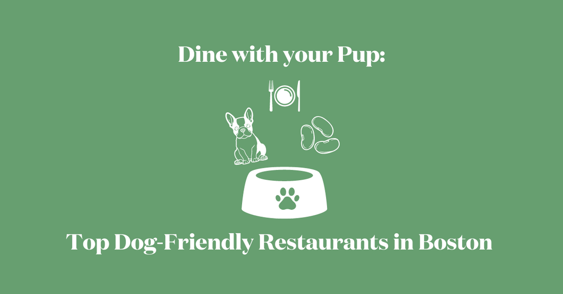 Dine with Your Pup: Top Dog-friendly Restaurants in Boston