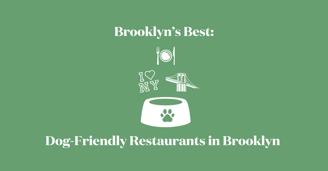 Brooklyn's Best Dog-Friendly Cafes and Restaurants