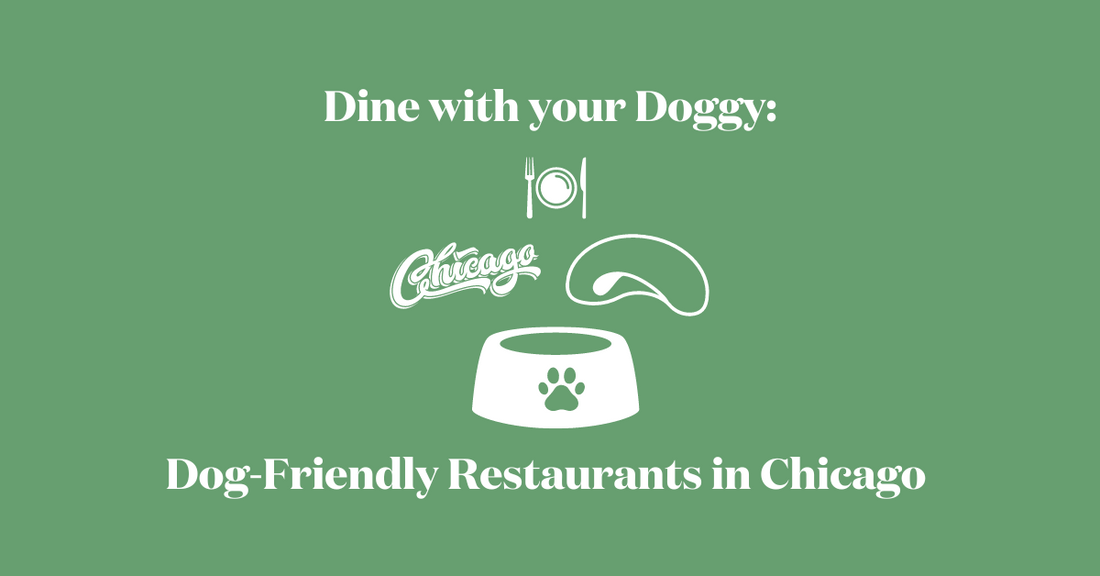 Dine with Your Doggy: The Best Dog-Friendly Restaurants and Cafes in Chicago.