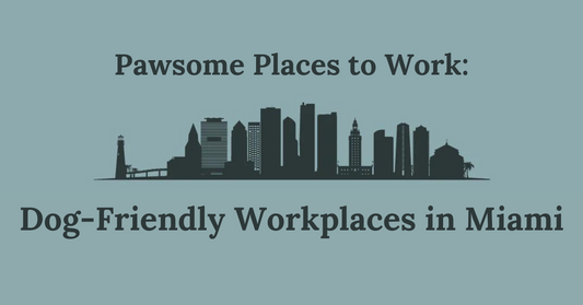 Pawsome Places to Work: Dog-Friendly Workplaces in Miami