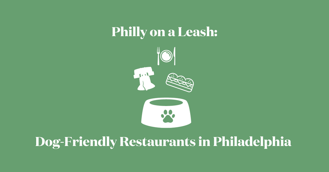 Philly on a Leash: Dog-Friendly Restaurants and Cafes in Philadelphia