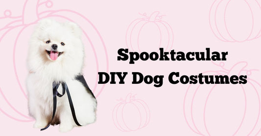 DIY Dog Costumes that are Spooktacular