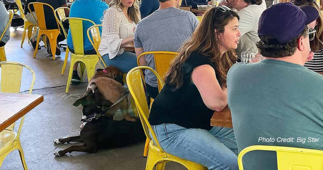 Dine with Your Doggy: The Best Dog-Friendly Restaurants and Cafes in Chicago