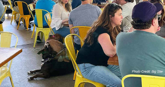 Dine with Your Doggy: The Best Dog-Friendly Restaurants and Cafes in Chicago