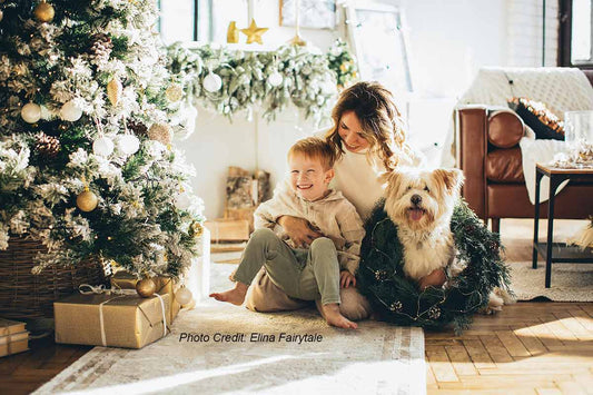 Hidden Dangers: Holiday Pet Safety Tips Every Hooman Must Know