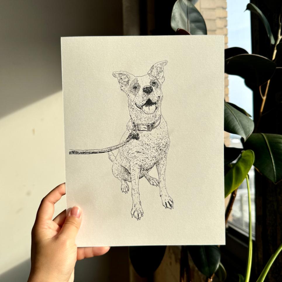 Etching Illustration Custom Pet Portrait