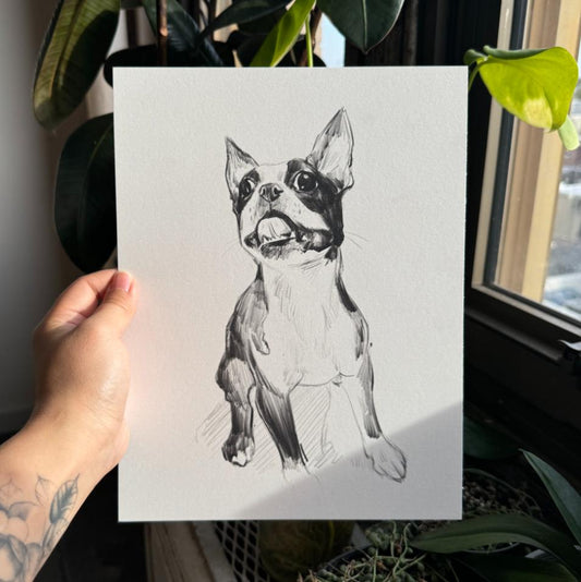 One Pet Monochrome Sketch Style Custom Pet Portrait