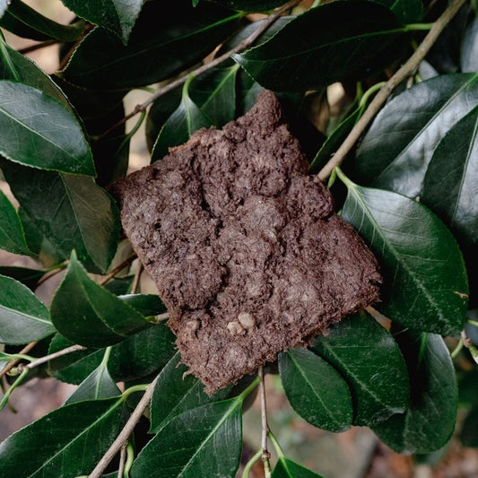 Beaver Freeze-Dried Dog and Cat Treat